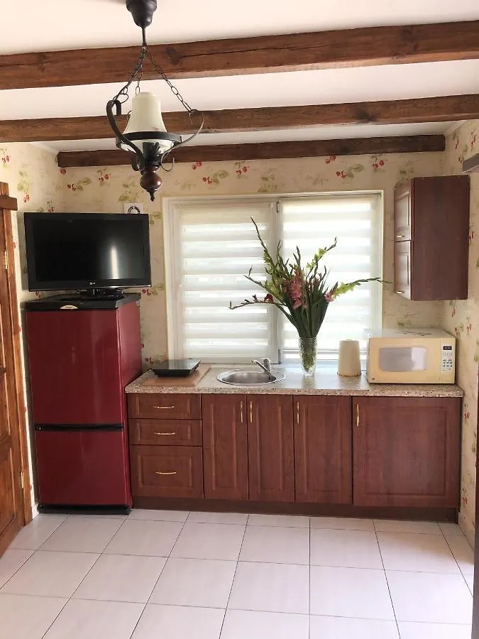 Apartments With Kitchen And Garden 키예프